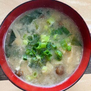 今日のお汁！　「大根、なめこ、エノキのお味噌汁」　